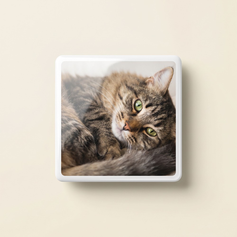 Custom UV Crafts example: Your cat