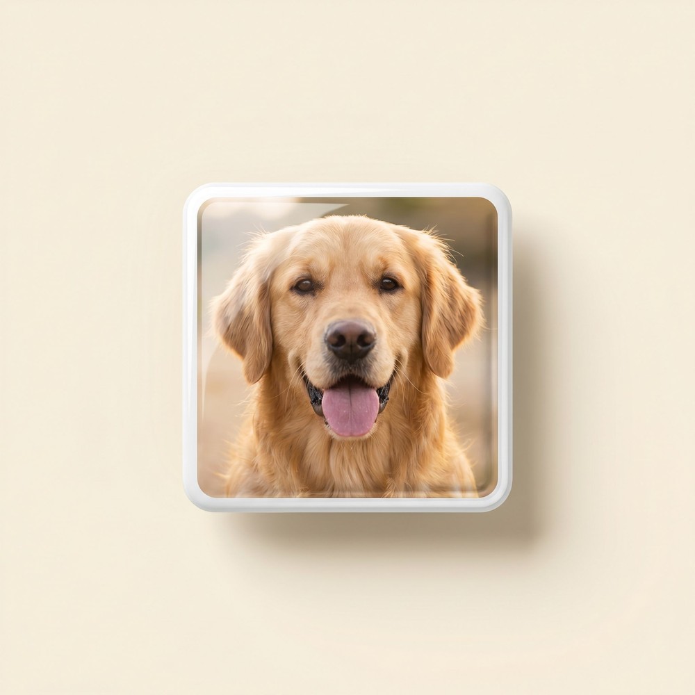 Custom UV Crafts example: Your dog